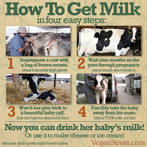 How To Get Milk in Four Easy Steps