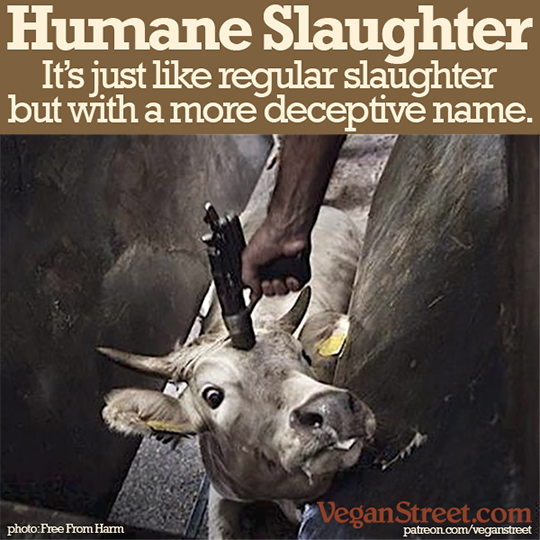 Humane Slaughter. It's just like regular slaughter, but with a more deceptive name.