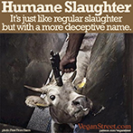 Humane Slaughter: It's just like regular slaughter, but with a more deceptive name.