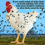 If you could weigh all the birds on Earth together...