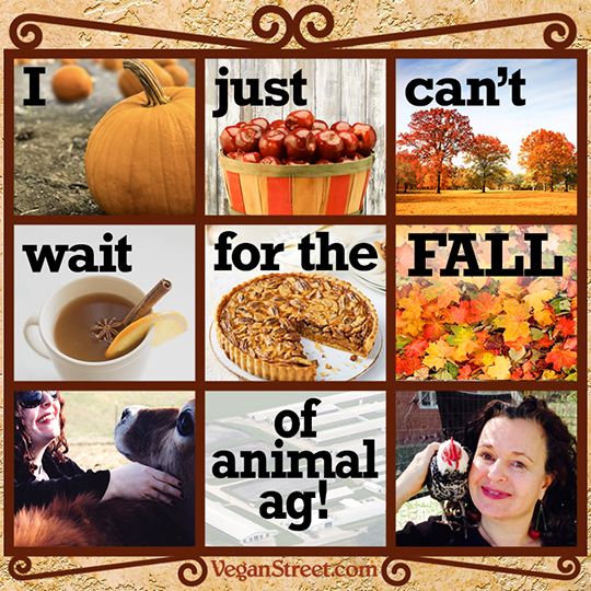 I just can't wait for the fall of animal ag!