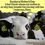 Sunday is Mother's Day.