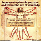 Increase the plants in your diet and reduce the size of your body.