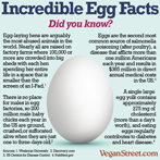Incredible Egg Facts