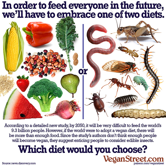 In order to feed everyone in the future, we'll have to embrace one of two diets.