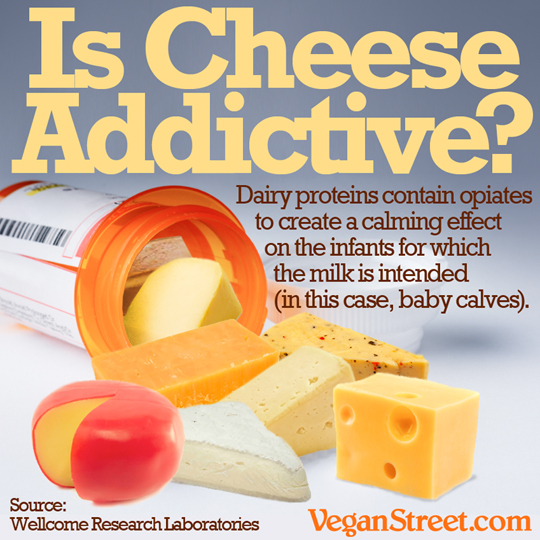 Is cheese addictive?