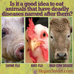 Is it a good idea to eat animals that have had diseases named after them?