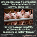 95% of people say it is important to them that animals on farms are well cared for.