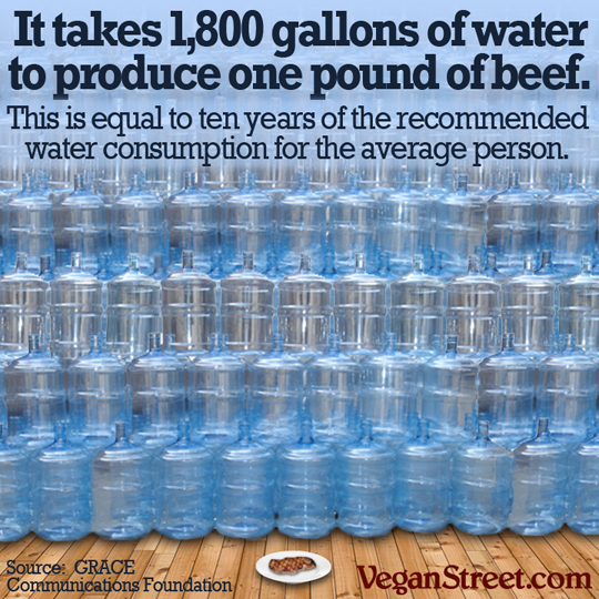 Ever since the vegans moved It takes 1,800 gallons of water to produce one pound of beefe's always lots of great stuff to eat!