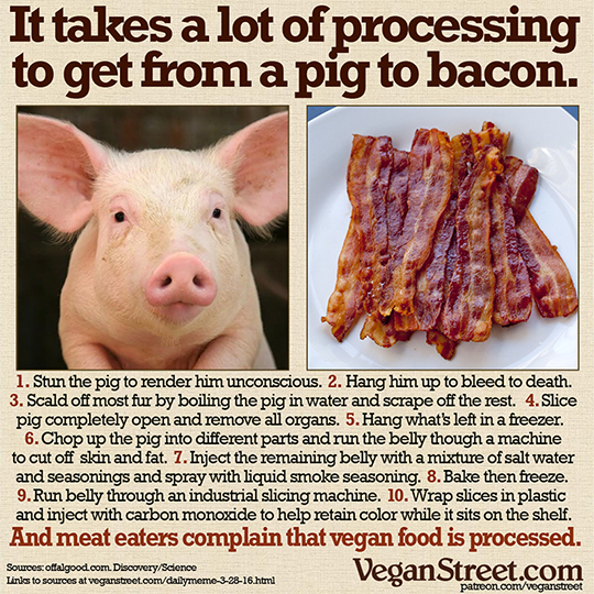 It takes a lot of processing to get from a pig to bacon.