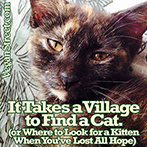 It Takes a Village to Find a Cat
