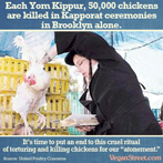 Each Yom Kippur, 50,000 chickens are killed for Kapporat in Brooklyn alone