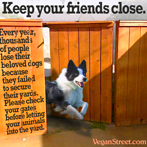 Keep your friends close.