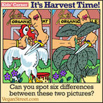 Can yoy spot six differences between these two pictures?