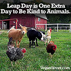 Leap Day is one extra day to be kind to animals.