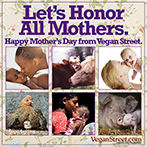 Let's Honor All Mothers.
