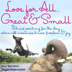 Love for All, Great and Small