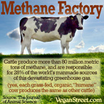 Methane Factory