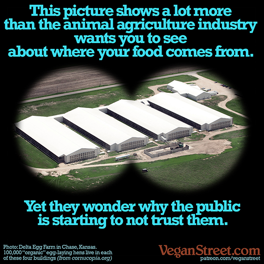 This picture shows a lot more than the animal ag industry wants you to see.