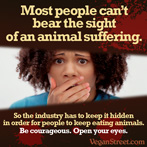 Most people can't bear the sight of an animal suffering.