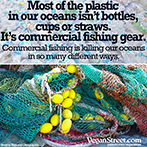 Most of the plastic in our oceans is not bottles, cups or straws.