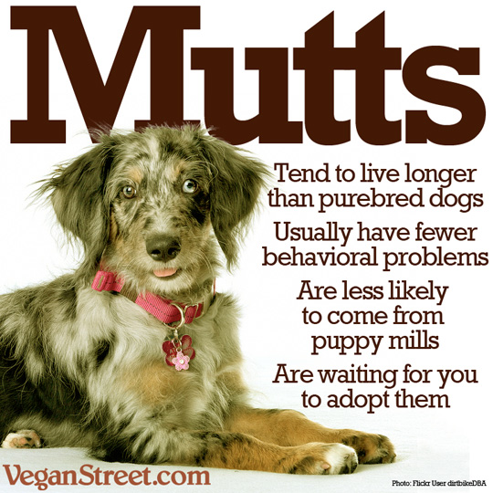 Mutts