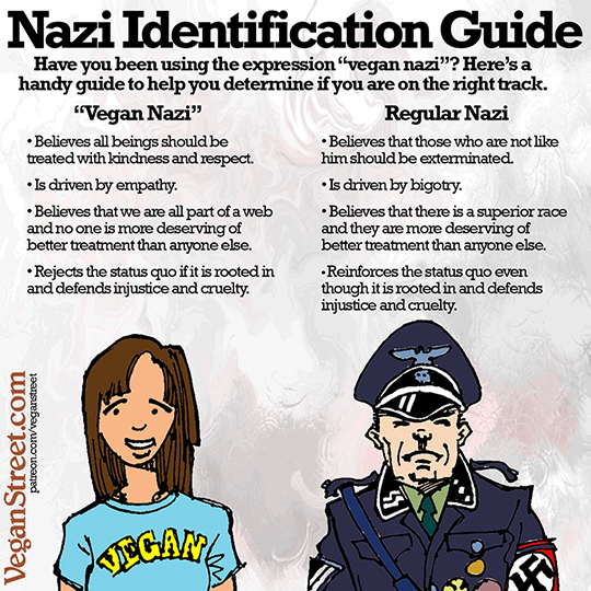 Nazi Identification Guide