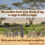 No matter how you dress it up, a cage is still a cage.