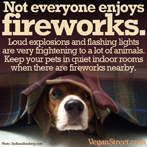 Not everyone enjoys fireworks