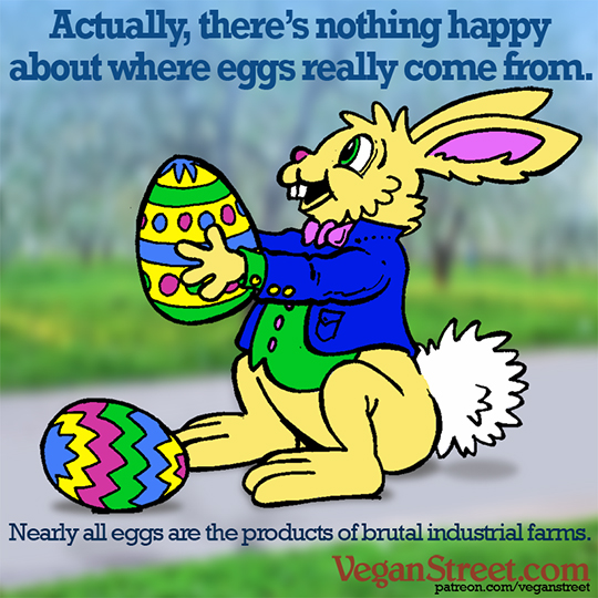 Actually, there's nothing happy about where eggs really come from.