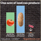 One acre of land can produce...