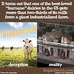 It turns out that one of the best-loved "humane" dairies in the US is....