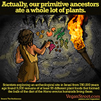 Actually, our primitive ancestors ate a whole lot of plants.
