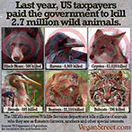 US taxpayers paid the government to kill 2.7 million wild animals.