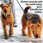 Paw Friendly Ice Melter