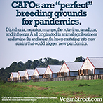 CAFOs are the perfect breeding ground for pandemics.