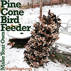 Make Your Own Pine Cone Bird Feeder