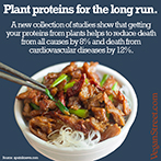 Plant protein for the long run.