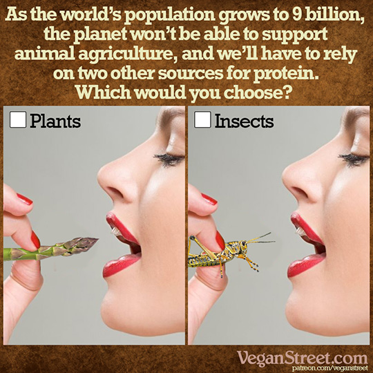 We'll soon have to rely on two other sources of protein.