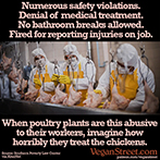 If poultry plants are this abusive to their workers...