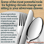 Some of the most powerful tools for fighting climate change are in your silverware drawer.