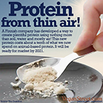 Protein from thin air!