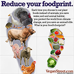 Reduce your foodprint.