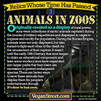 Relics whose time has passed - animals in zoos