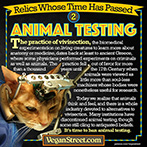 Relics whose time has passed: Animal Testing