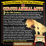 Relics Whose Time Has Passed - Circus Animal Acts