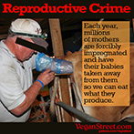 Reproductive Crime