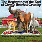The beginning of the end of circus animal cruelty.