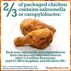 2/3 of packaged chicken contains salmonella or campylobacter.