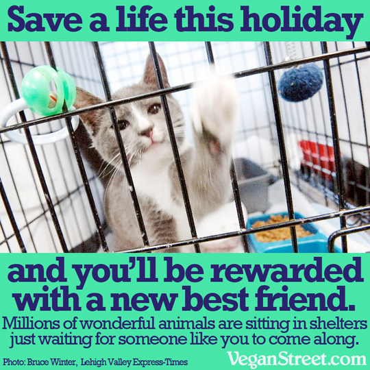 Save a life this holiday